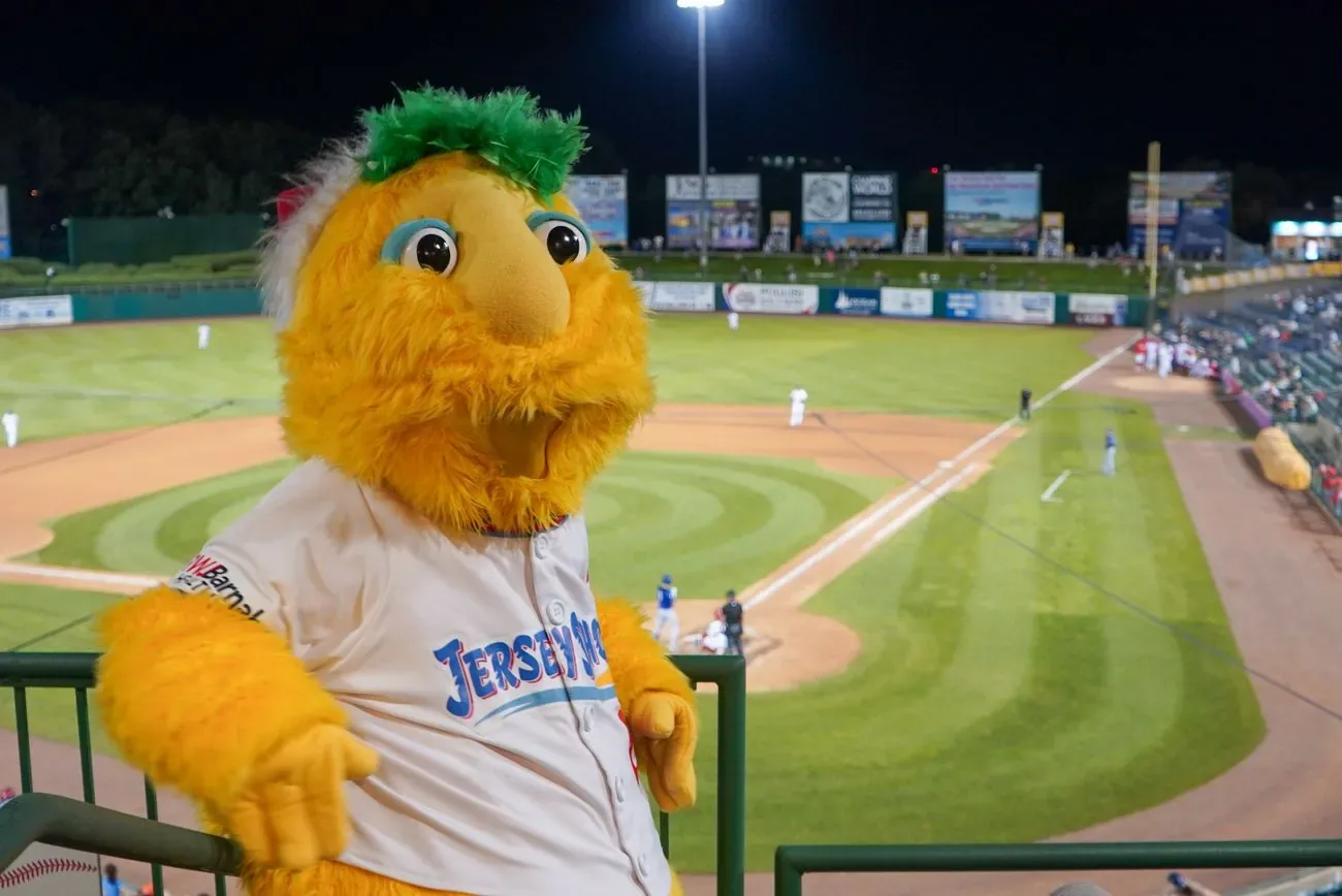 Buster looking out over the lit field from the top of the stands at night